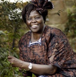 Wangari Maathai (Gianluigi Guercia  /  AFP - Getty Images)
