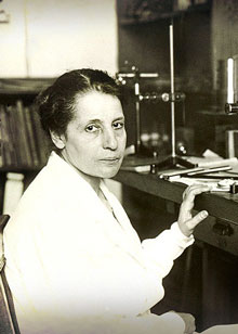 Lise Meitner