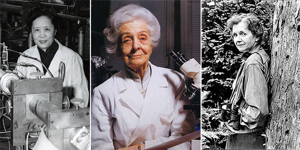 Women Who Dared to Discover: 16 Women Scientists You Should Know | A Mighty  Girl