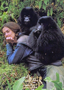 Dian Fossey