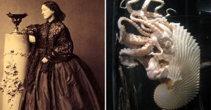 History's Hidden Figures: Meet the 19th Century French Dressmaker Who Invented the Aquarium